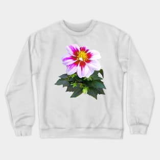 Two-Toned Pink Dahlia Crewneck Sweatshirt